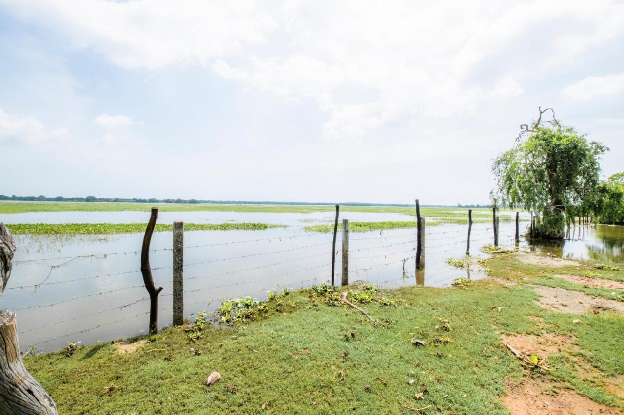 Chaarya Lake Hotel Tissamaharama Exterior photo