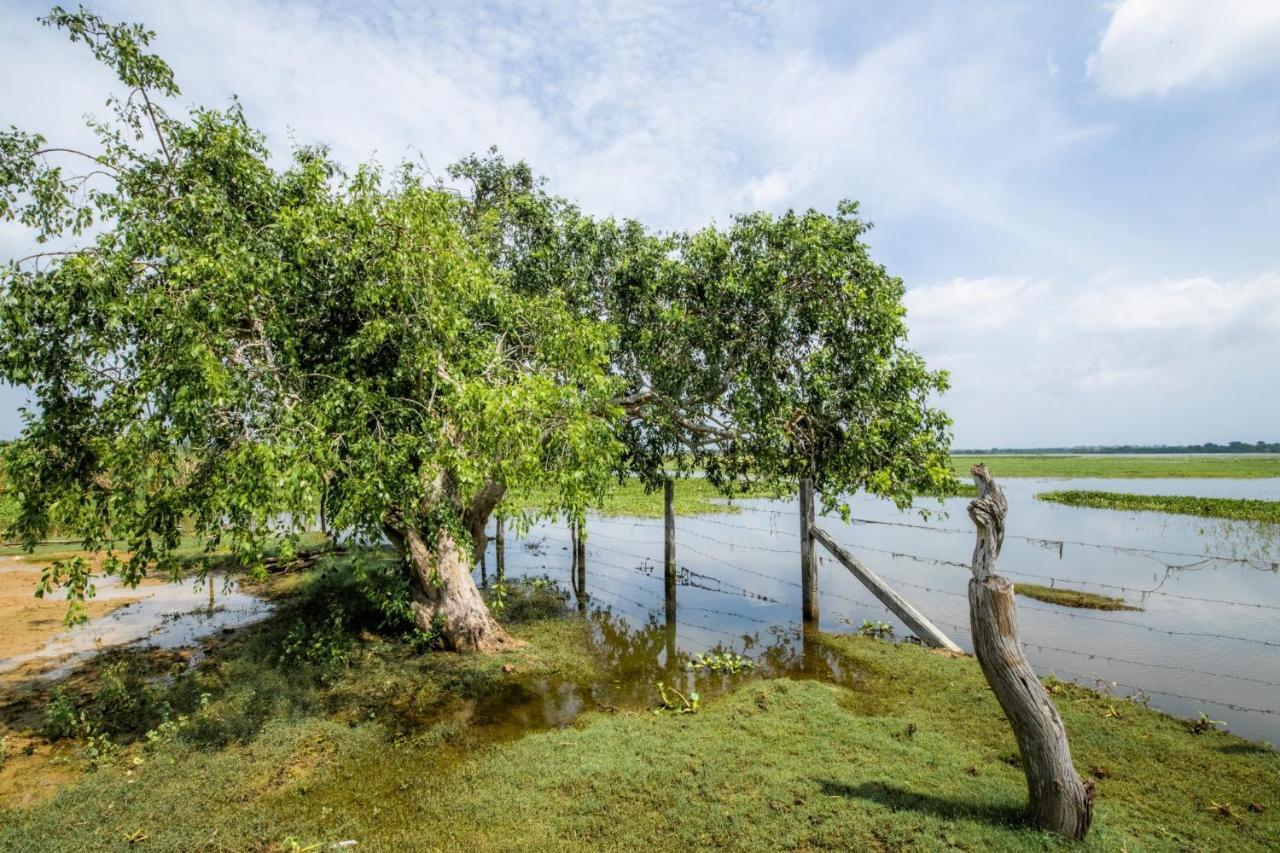 Chaarya Lake Hotel Tissamaharama Exterior photo